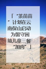 “茶苗苗”计划在云南保山启动 为留守困境儿童三餐“加肉”