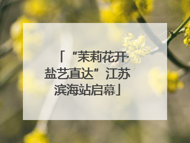 “茉莉花开·盐艺直达”江苏滨海站启幕