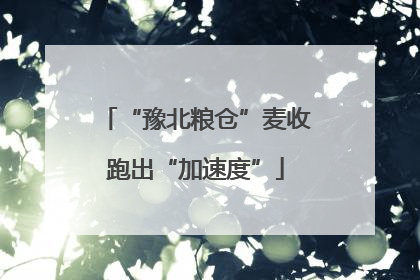 “豫北粮仓”麦收跑出“加速度”