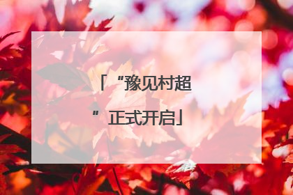 “豫见村超”正式开启
