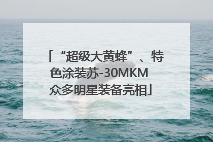 “超级大黄蜂”、特色涂装苏-30MKM 众多明星装备亮相