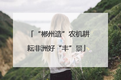 “郴州造”农机耕耘非洲好“丰”景