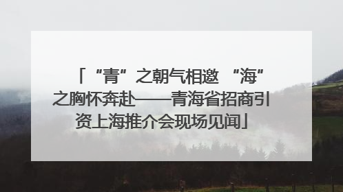 “青”之朝气相邀 “海”之胸怀奔赴——青海省招商引资上海推介会现场见闻