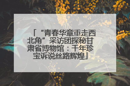 “青春华章重走西北角”采访团探秘甘肃省博物馆：千年珍宝诉说丝路辉煌