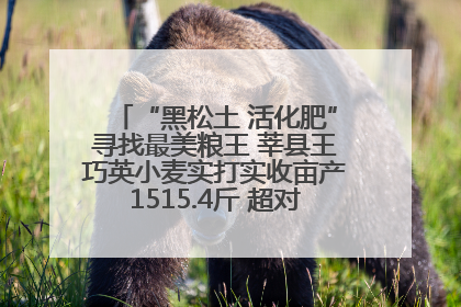 “黑松土 活化肥”寻找最美粮王 莘县王巧英小麦实打实收亩产1515.4斤 超对照田144斤！