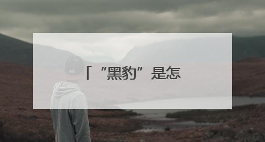 “黑豹”是怎样炼成的？