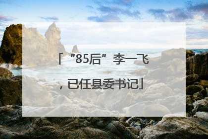 “85后”李一飞，已任县委书记