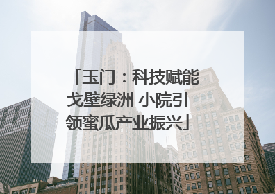 玉门：科技赋能戈壁绿洲 小院引领蜜瓜产业振兴