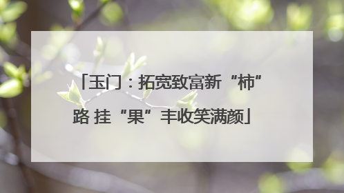 玉门：拓宽致富新“柿”路 挂“果”丰收笑满颜
