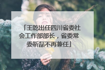 王乾出任四川省委社会工作部部长，省委常委靳磊不再兼任