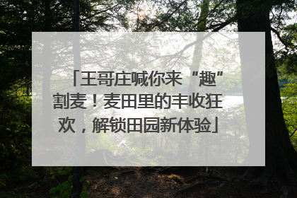 王哥庄喊你来“趣”割麦！麦田里的丰收狂欢，解锁田园新体验