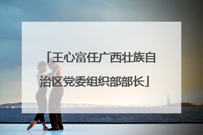 王心富任广西壮族自治区党委组织部部长