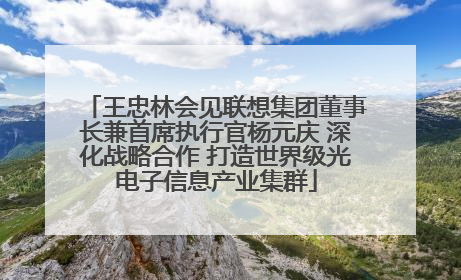 王忠林会见联想集团董事长兼首席执行官杨元庆 深化战略合作 打造世界级光电子信息产业集群
