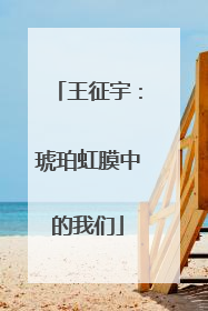 王征宇：琥珀虹膜中的我们