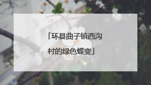 环县曲子镇西沟村的绿色蝶变