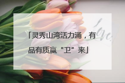 灵秀山湾活力涌，有品有质赢“卫”来