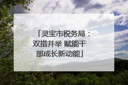 灵宝市税务局：双措并举 赋能干部成长新动能