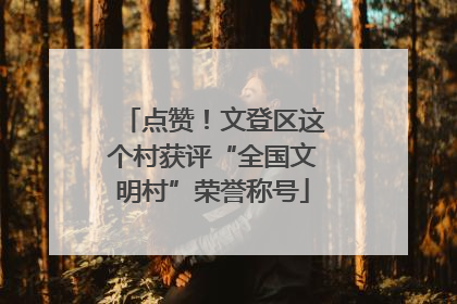 点赞！文登区这个村获评“全国文明村”荣誉称号