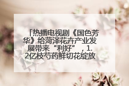 热播电视剧《国色芳华》给菏泽花卉产业发展带来“利好”，1.2亿枝芍药鲜切花绽放“国色芳华”