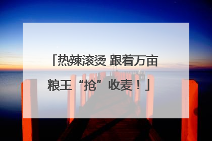 热辣滚烫 跟着万亩粮王“抢”收麦！