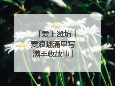 爱上潍坊丨麦浪翻涌里写满丰收故事
