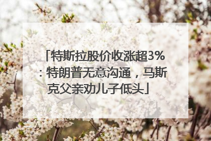 特斯拉股价收涨超3%：特朗普无意沟通，马斯克父亲劝儿子低头