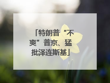 特朗普“不爽”普京、猛批泽连斯基