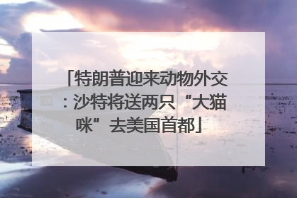 特朗普迎来动物外交：沙特将送两只“大猫咪”去美国首都