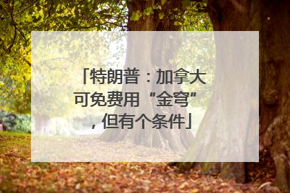 特朗普：加拿大可免费用“金穹”，但有个条件