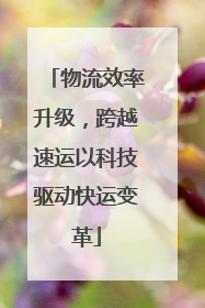 物流效率升级，跨越速运以科技驱动快运变革