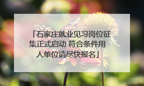 石家庄就业见习岗位征集正式启动 符合条件用人单位请尽快报名