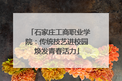 石家庄工商职业学院：传统技艺进校园焕发青春活力