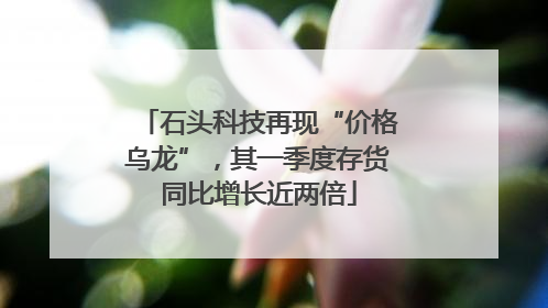 石头科技再现“价格乌龙”，其一季度存货同比增长近两倍