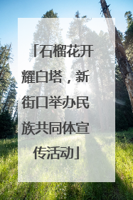 石榴花开耀白塔，新街口举办民族共同体宣传活动