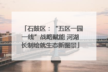 石鼓区：“五区一园一线”战略赋能 河湖长制绘就生态新图景