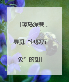 琼岛深巷，寻觅“包罗万象”的甜