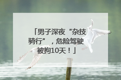 男子深夜“杂技骑行”，危险驾驶被拘10天！