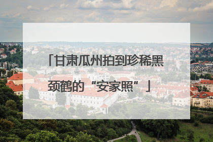 甘肃瓜州拍到珍稀黑颈鹤的“安家照”
