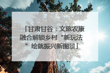 甘肃甘谷：文旅农康融合解锁乡村“新玩法”绘就振兴新图景