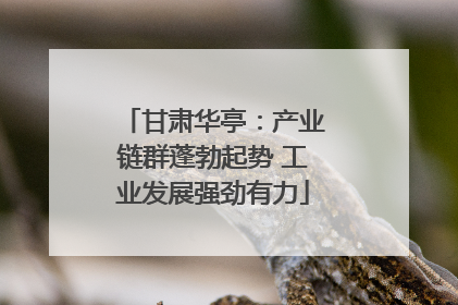 甘肃华亭：产业链群蓬勃起势 工业发展强劲有力