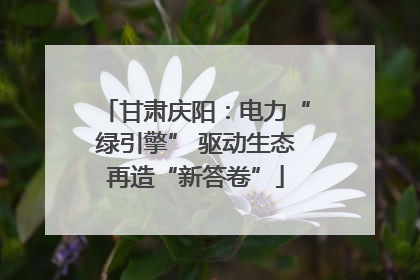 甘肃庆阳：电力“绿引擎” 驱动生态再造“新答卷”