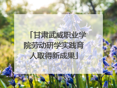 甘肃武威职业学院劳动研学实践育人取得新成果