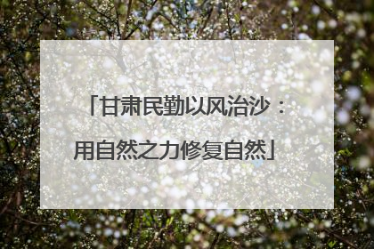 甘肃民勤以风治沙：用自然之力修复自然