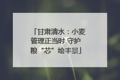 甘肃清水：小麦管理正当时 守护粮“芯”绘丰景