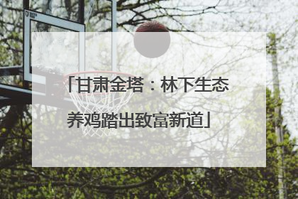 甘肃金塔：林下生态养鸡踏出致富新道