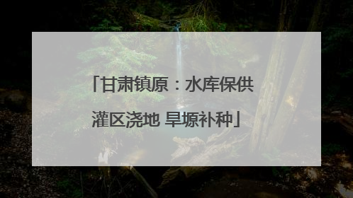 甘肃镇原：水库保供 灌区浇地 旱塬补种