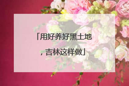 用好养好黑土地，吉林这样做