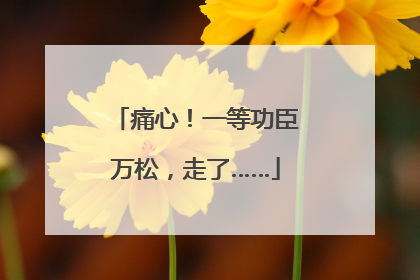 痛心！一等功臣万松，走了……