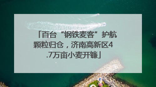 百台“钢铁麦客”护航颗粒归仓，济南高新区4.7万亩小麦开镰