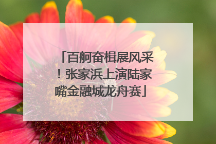 百舸奋楫展风采！张家浜上演陆家嘴金融城龙舟赛